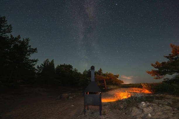 Bedouin Night & BBQ under the Stars