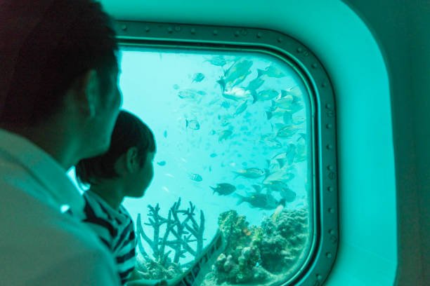 Sindbad Submarine Adventure