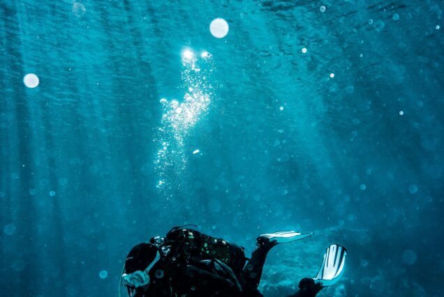 Abu Dabbab Snorkeling Tour – Marsa Alam